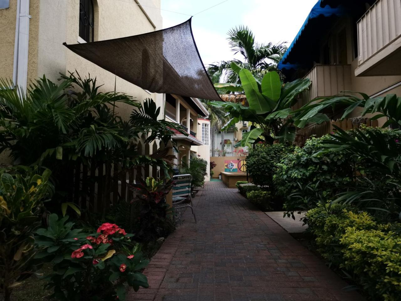 Reggae Hostel Ocho Rios Exterior photo