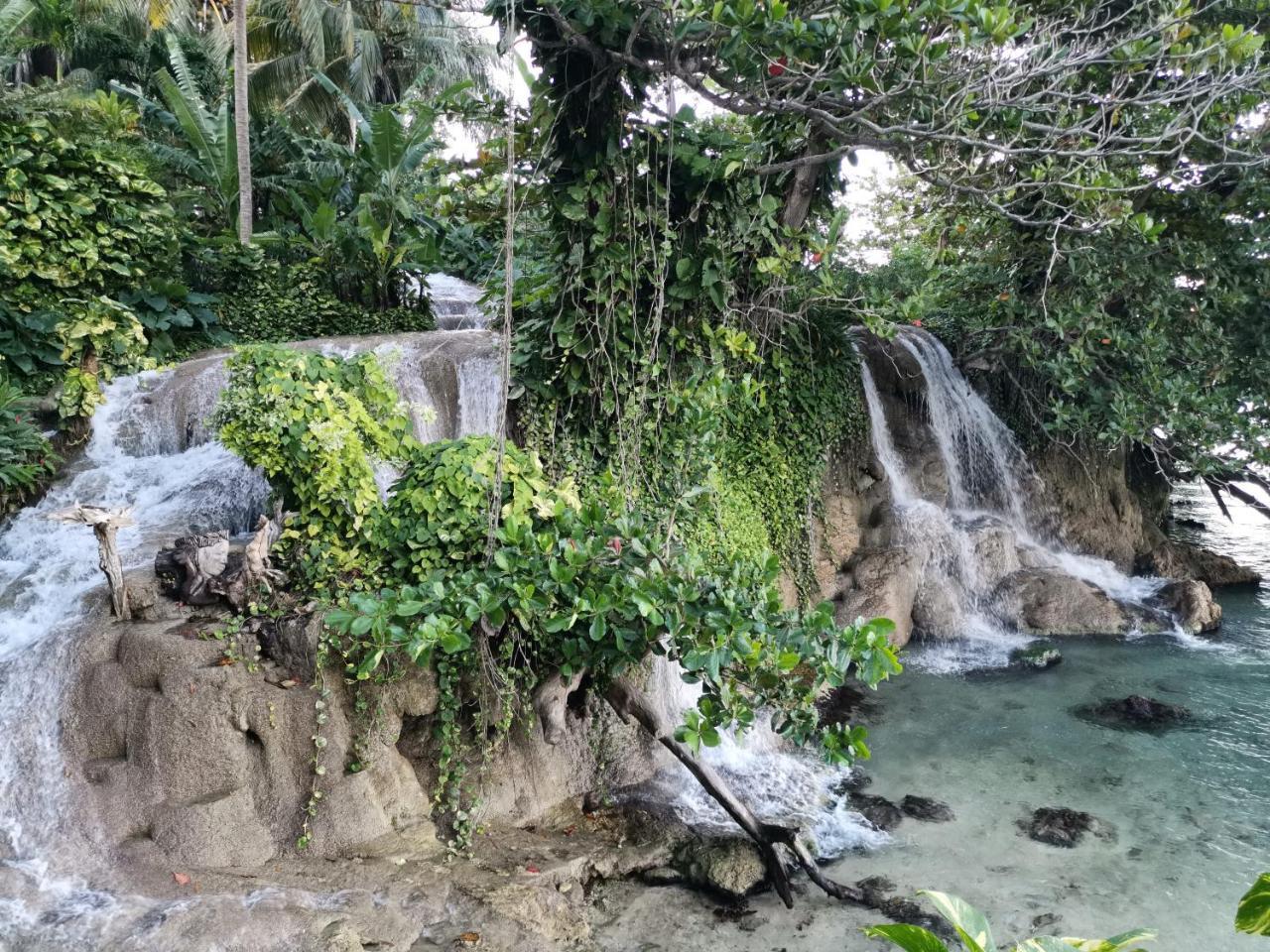 Reggae Hostel Ocho Rios Exterior photo